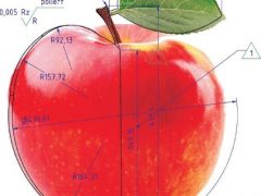 Apfel-bemaßt-freigestellt